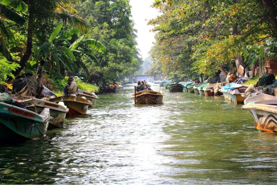 Negombo: Muthurajawela Wetland & Dutch Canal Boat Adventure - Wildlife and Natural Features