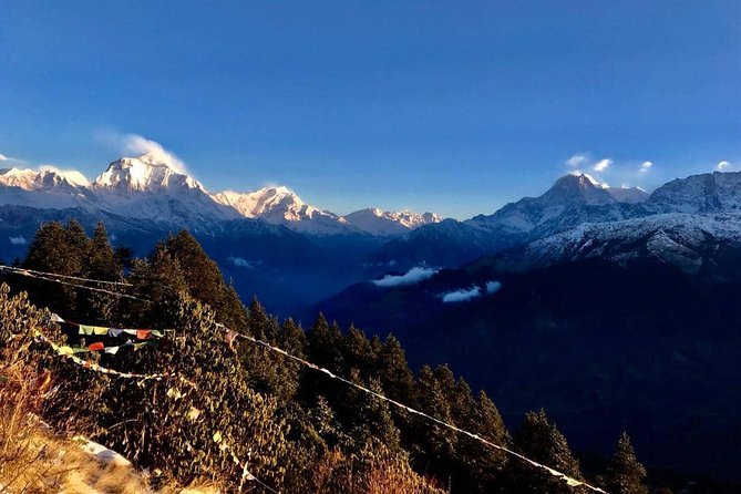 Nepal Round Tour With Annapurna Trek 14 Days - Cultural Exploration