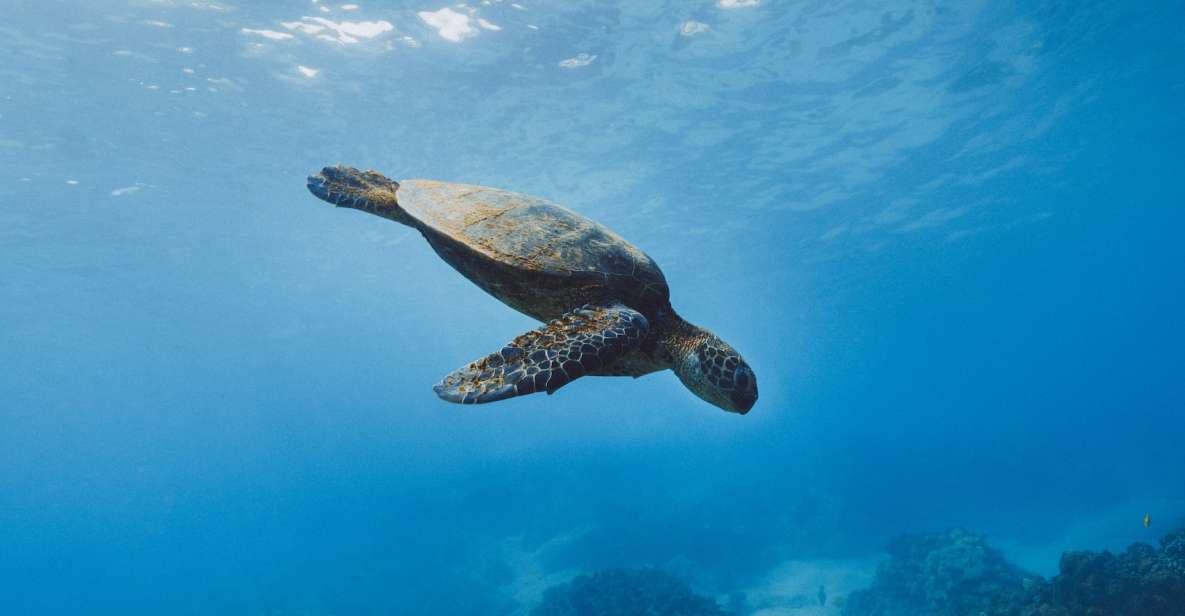 Night Snorkeling in Mirissa - Included Amenities