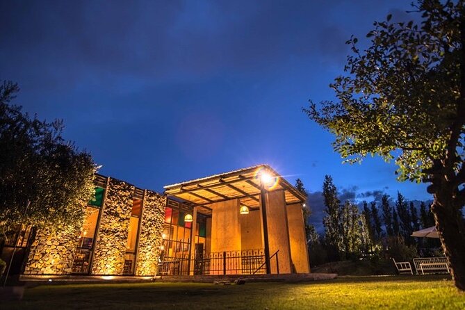 Night Visit to Los Toneles Winery + Dinner at El Enemigo. Transportation Included - Reviews
