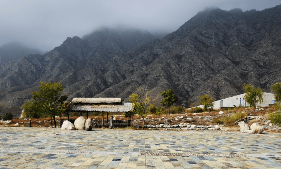 Ningxia Day Tour Mausoleum Red Wine Garden &Stone Carvings - Yuanshi Vineyard