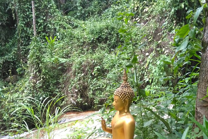 No.1 Chiang Mai: 3-Hour Monk Trail Hike to Wat Doi Suthep & Palad - Professional Guides