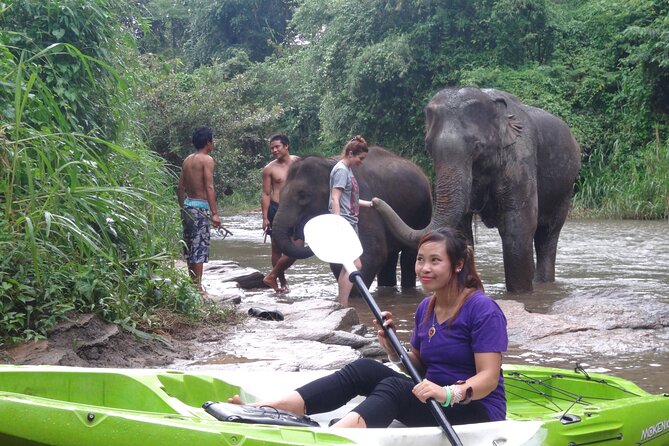 No.1 Chiang Mai : White Water Kayaking: Mae Wang Jungle River - Transportation and Logistics