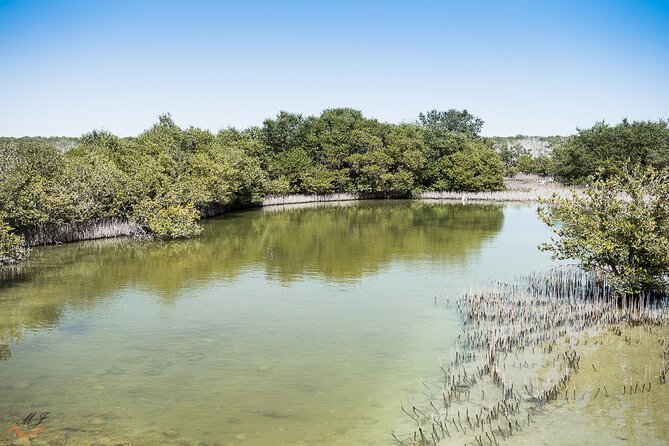 North of Qatar Tour to Olafur Eliasson Zubara Fort Jumail Village - Additional Scenic Stops
