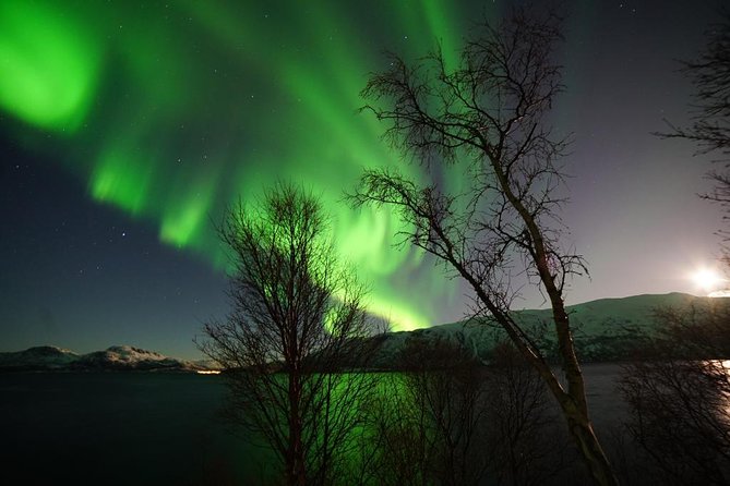 Northern Lights - Teslax Ecofriendly Car - Warm Refreshments and Cozy Ambiance