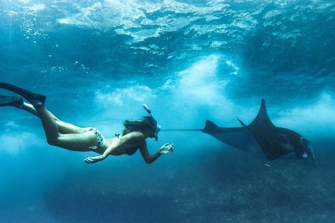 Nusa Penida West Trip With Snorkeling at 3 Spot With Free Meals - Customer Reviews and Feedback