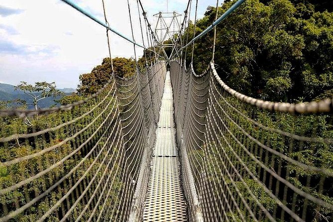 Nyungwe and Volcanoes National Parks - Hiking the Volcanoes Trails