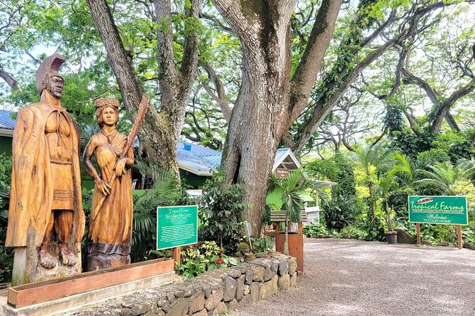 Oahu Island Sightseeing and Food Combo Tour - Tour Schedule and Availability