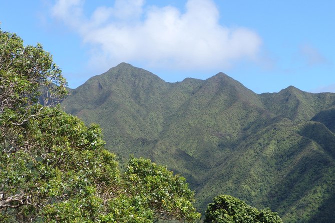 Oahu Volcanic Rainforest Hiking Adventure - Physical Requirements