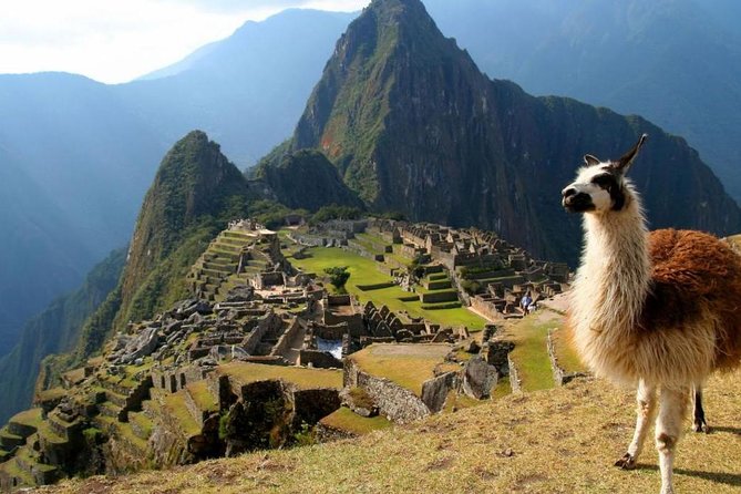 Official Ticket- Machu Picchu Lost Citadel - Iconic Landmarks and Attractions