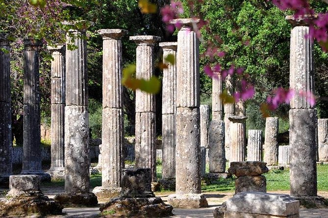 Olympia Shore Excursion: Ancient Olympia Plus Honey Farm & Olive Oil Tasting - Archaeological Site of Olympia