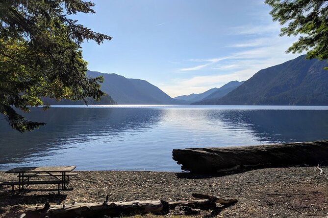 Olympic National Park - Private Luxury Day Tour With Lunch - Highlights of the Day