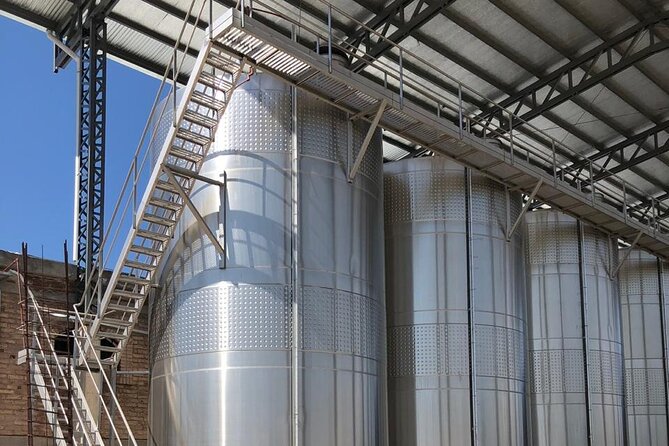 One Day Grapes on the Edge. Uco Valley Wine Tour - Transportation and Pickup