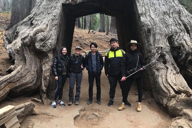 One Day In Yosemite Private Tour:Yosemite Valley, Glacier Point & Giant Sequoias - Pickup Locations and Times