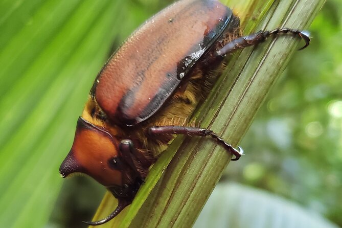 One Day Of Nature in Monteverde - Tour Details