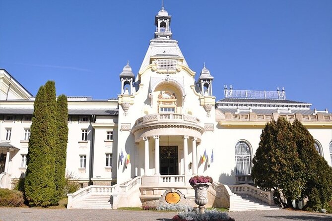 One Day Private Tour to Peles and Dracula Castles & Brasov City - Bran Castle (Draculas Castle)