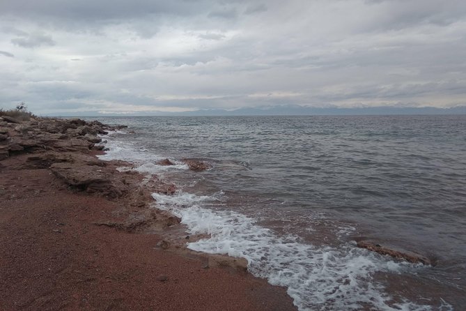 One-Day Tour From Bishkek to Issyk-Kul Lake - Lunch Experience