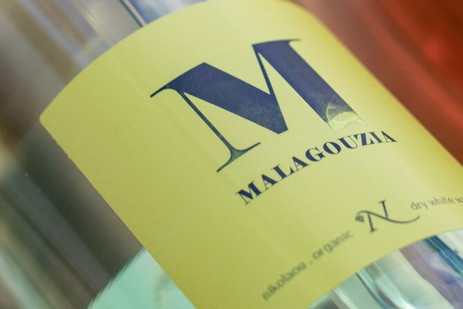 Organic and Vegan Indigenous Wine Tasting Private Experience - Certified Sommelier Panagiotis