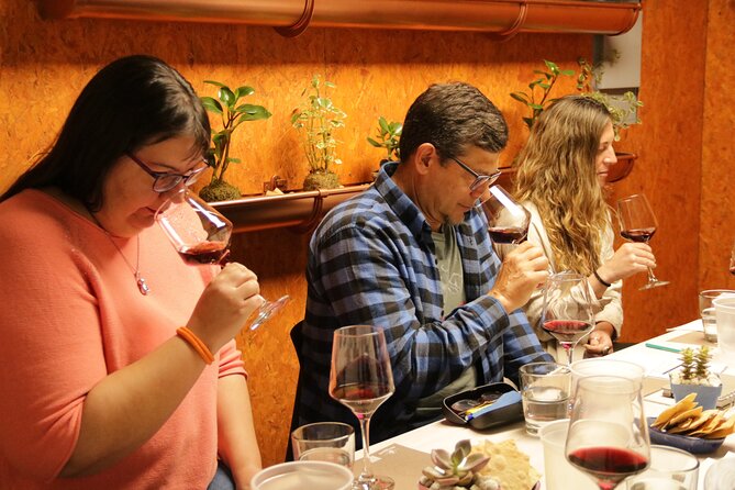 Organic, Biodynamic and Natural Wine Tasting Class - Tasting Notes and Flavor Profiles