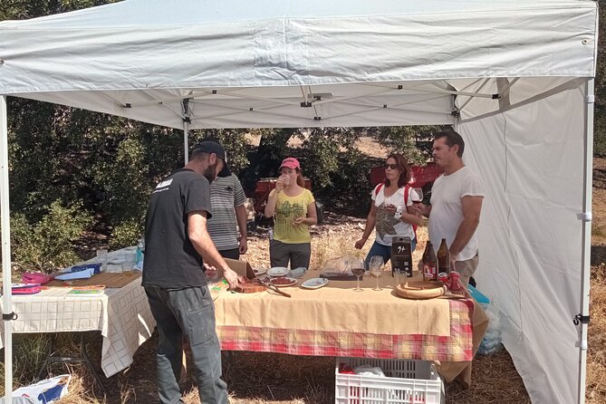 Organic Iberian Ham, Farm Visit and Premium Tasting! - Pricing and Payment Options