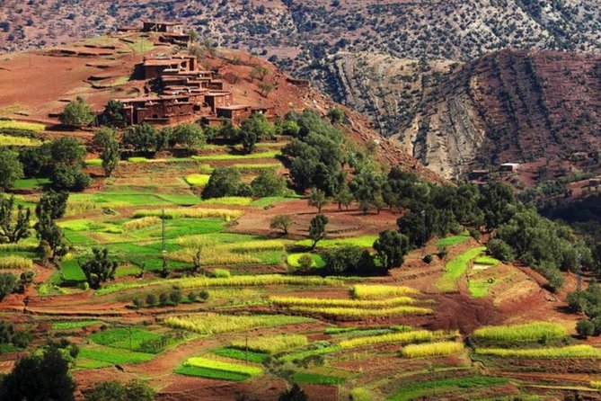 Ourika Valley & Waterfalls & Atlas Mountains Camel Ride - Cultural Insights of Berber Villages