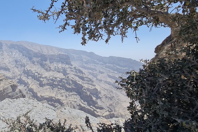 Overnight Private Guided Nizwa and Jebel Akhdar Tour From Muscat - Accessibility and Participation