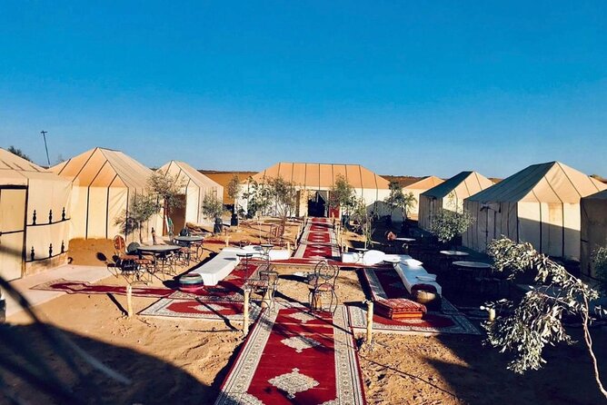 Overnight Stay in Desert Camp & Camel Trekking in the Sahara - Meeting Point Information