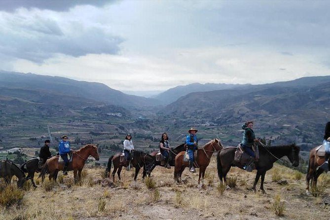 Overnight Tour: Colca Canyon Including Horse Riding From Arequipa - Wildlife and Scenery