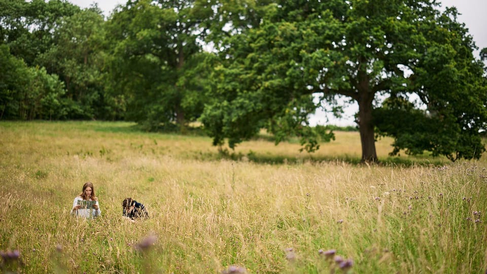 Oxford: Harcourt Arboretum Entry Ticket - Seasonal Experiences