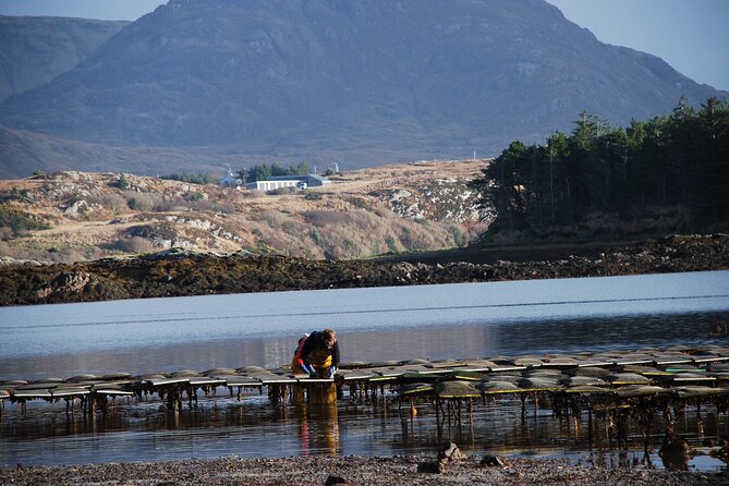 Oyster Farm and Tasting Experience - Knowledgeable and Passionate Guides