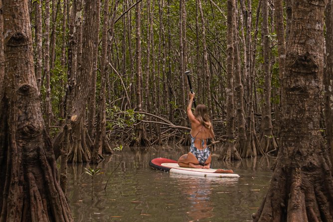 Paddle Board Mangrove Tour - Included Amenities