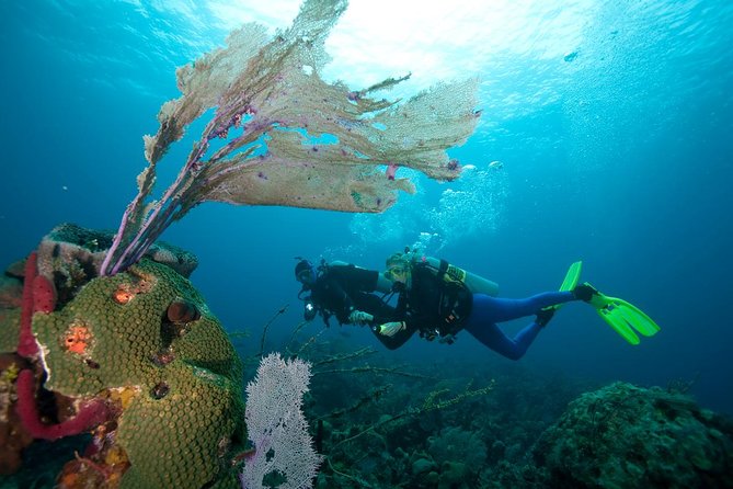 PADI Advanced Open Water Diver Course @ Anilao Batangas - Schedule and Availability