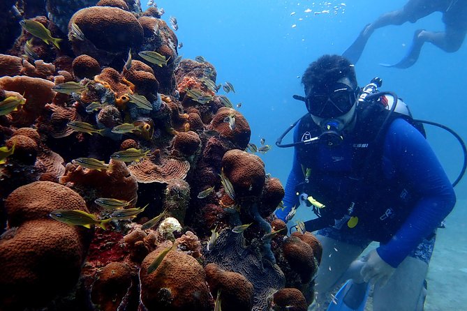 PADI Open Water Diving Course - Qualified Instructors and Trained Personnel