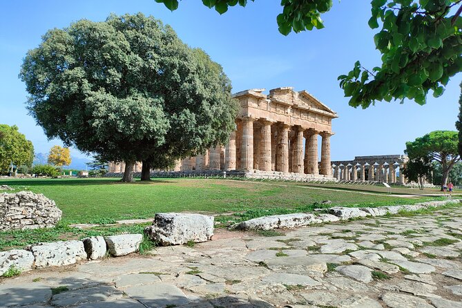 Paestum Traditions, Buffaloes, Ceramics, Temples - Uncover the Art of Ceramics
