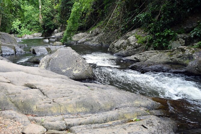 Pala U Waterfall in Kaeng Krachan Jungle With Private Guide From Hua Hin - Private Tour Experience
