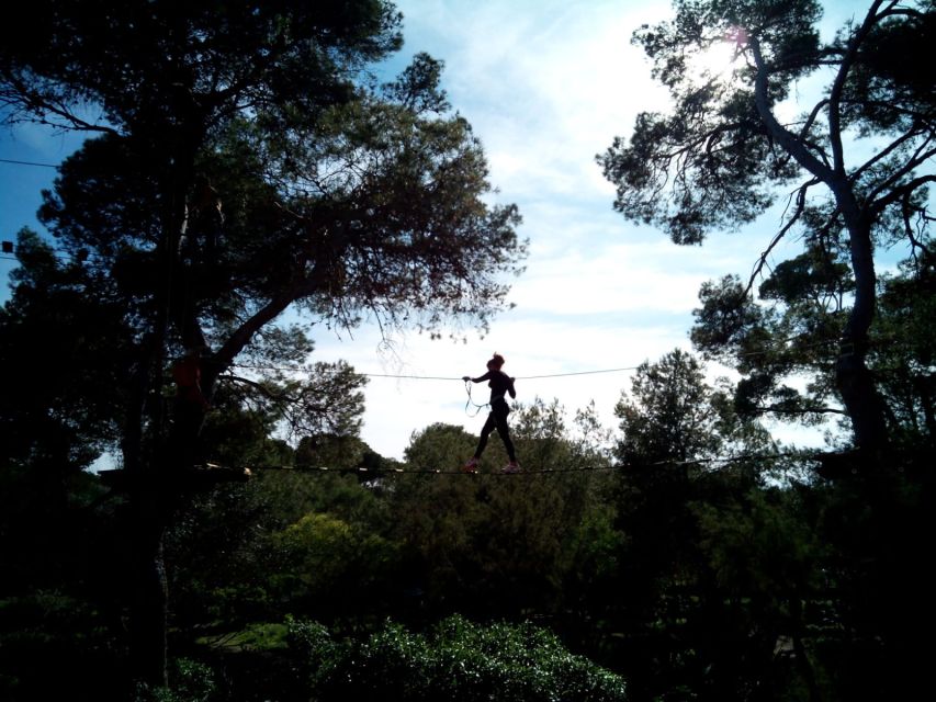 Palma: Family or Sports Course Adventure at Forestal Park - Family Course Details