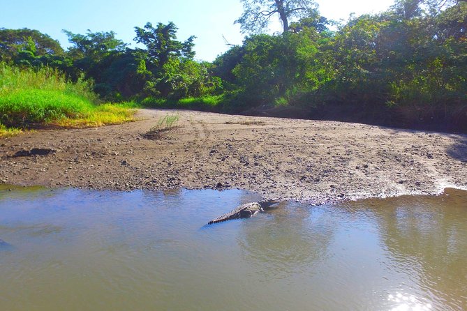 Palo Verde RiverRide From Guanacaste - Exploring Palo Verde National Park