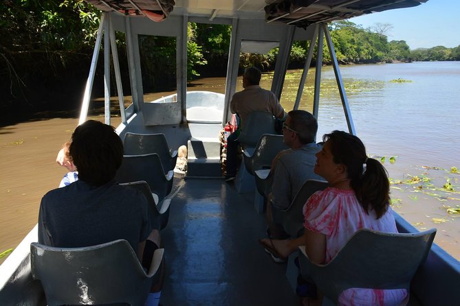 Palo Verde Wildlife Tour From Playa Hermosa-Coco Beach - Wildlife Sightings