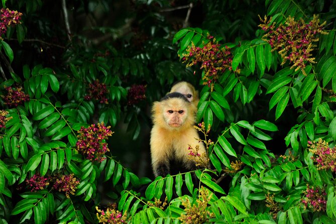 Panama Canal Eco Tour - Traveler Feedback and Experiences