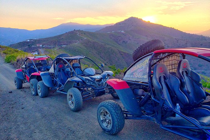 Panoramic Buggy Tour From Malaga - Reviews and Ratings