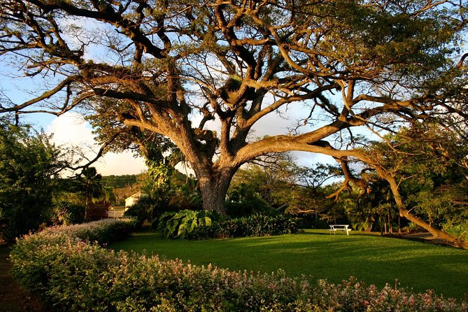 Panoramic Sightseeing Tour of St Kitts - Booking and Cancellation Policy