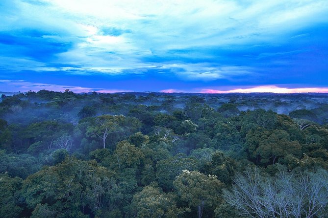 Pantanal & Amazon Holiday - Private Multi Day Tour - Meeting and Pickup