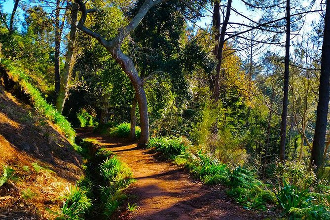 Paradise Valley - Levada Walk - Included Services