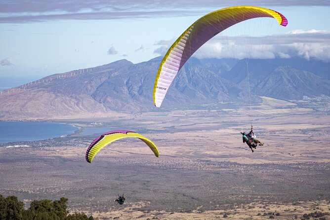 Paraglide Mauis 1K Tandem Paragliding Experience - Traveler Requirements and Recommendations