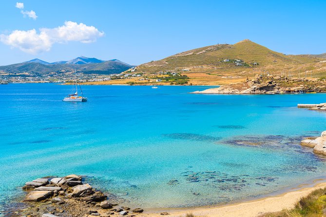 Paros to Delos Mykonos Cruise Review - Accessibility and Participation
