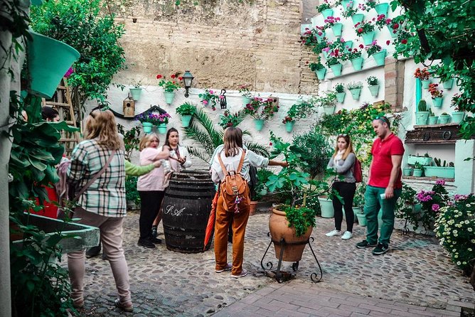 Patios Tour in Cordoba - Booking and Pricing