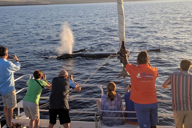 Pau Hana Sunset Cruise With the Whales - Accessibility Features