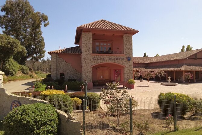 Penguins Poetry and Pinot Noir Tour in San Antonio Province - Exploring Algarrobo Town