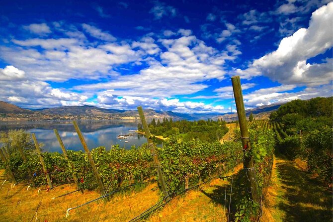 Penticton Wineries Tour - Accessibility and Participation