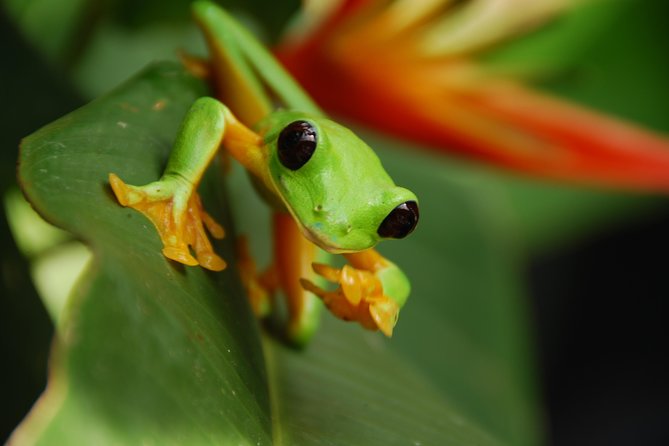 Photography Tour at Natura Eco Park - Guide Expertise